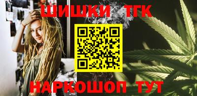 мдпв Гусев