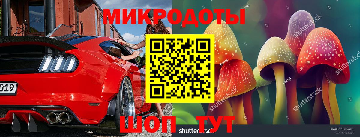 Псилоцибиновые грибы Cubensis Назарово